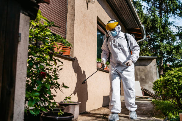 Reliable Cross Roads, TX Pest Control Solutions