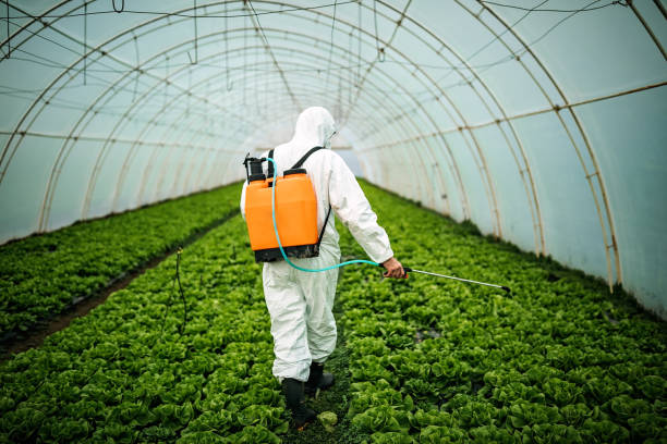 Pest Control Cost in Cross Roads, TX