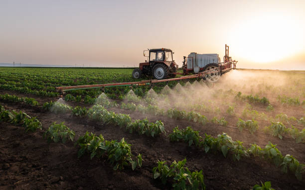 Best Pest Control Cost  in Cross Roads, TX