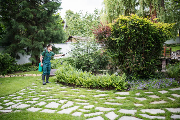 Best Pest Removal Services  in Cross Roads, TX