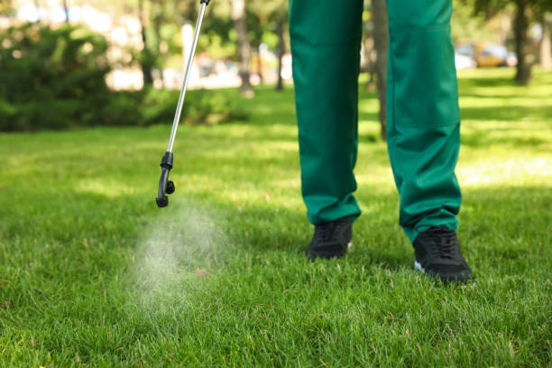 Best Commercial Pest Control Services  in Cross Roads, TX