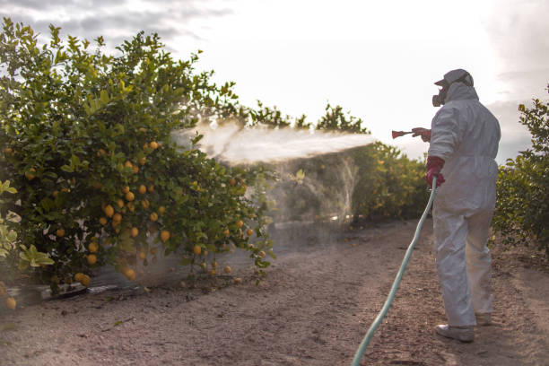  Cross Roads, TX Pest Control Pros
