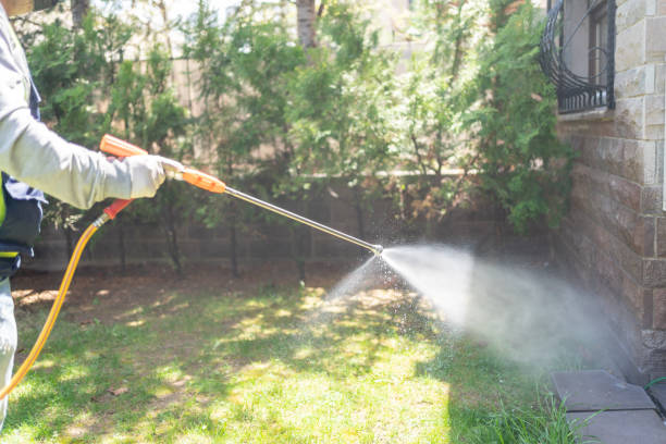 Best Mosquito Control Services  in Cross Roads, TX