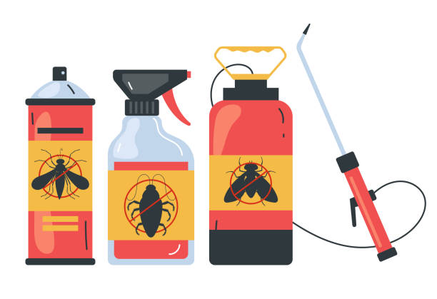 Best Exterminator Services  in Cross Roads, TX